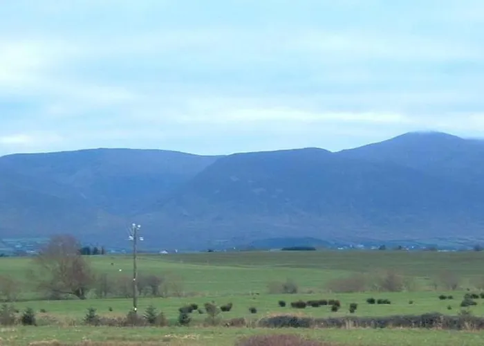 Brook Manor ベッド・アンド・ブレックファスト トラリー