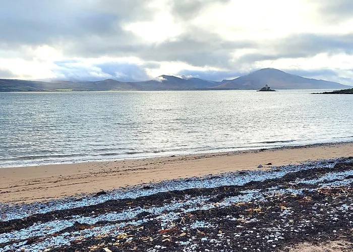 Brook Manor トラリー